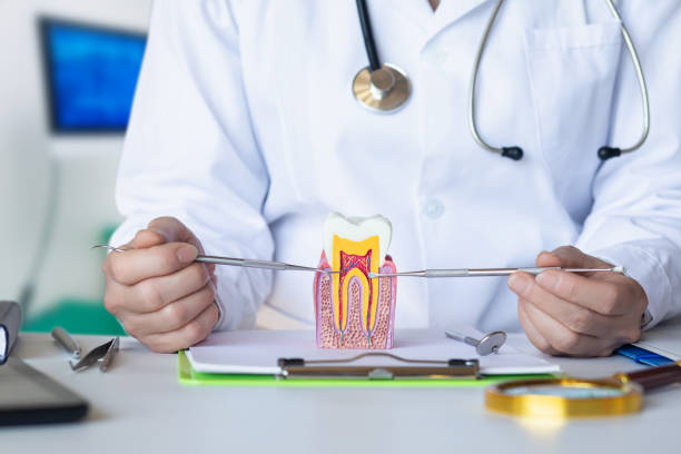 Best Emergency Root Canal Treatment in Jonesboro, AR